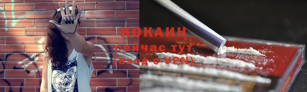 стаф Аркадак