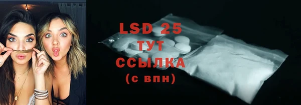 стаф Аркадак