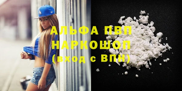 стаф Аркадак