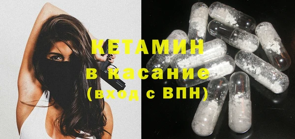 стаф Аркадак