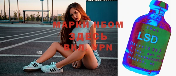 стаф Аркадак